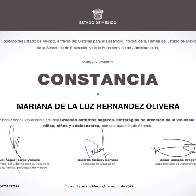 Ampliar imagen: certificate 2