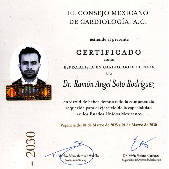 Ampliar imagen: certificate 2