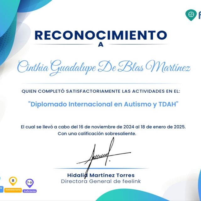 Ampliar imagen: certificate 2