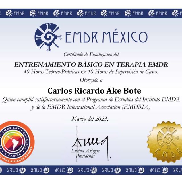 Ampliar imagen: certificate 3
