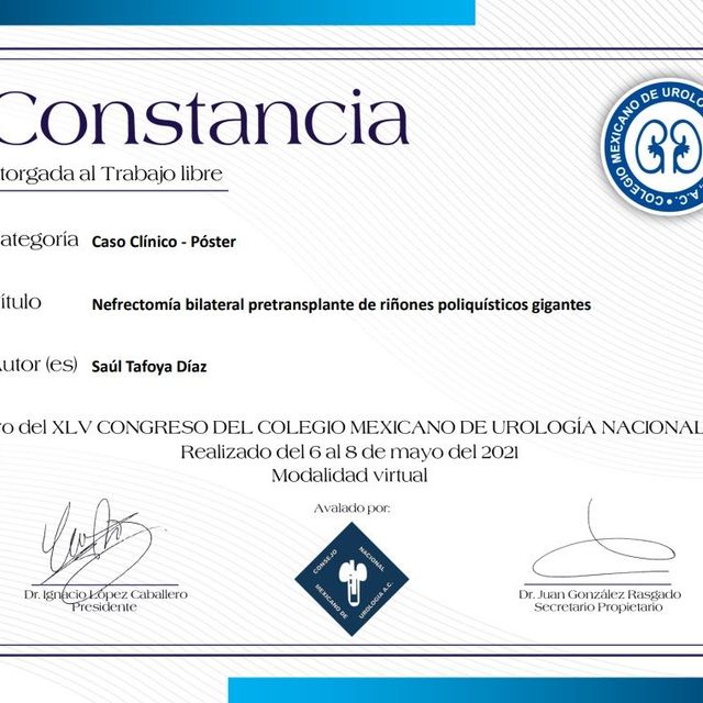 Ampliar imagen: certificate 8