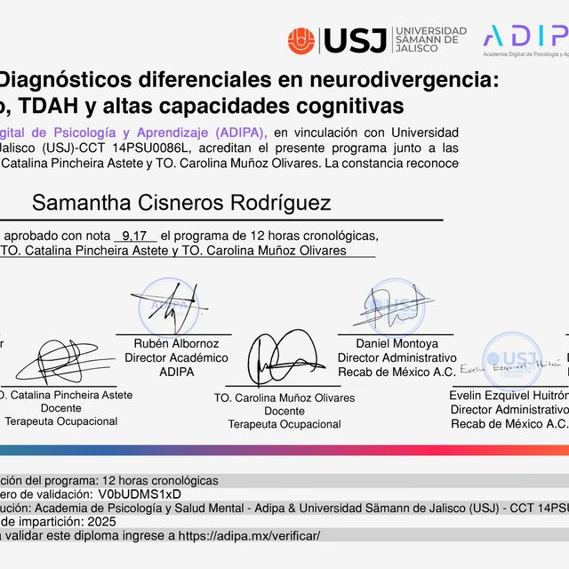 Ampliar imagen: certificate 8