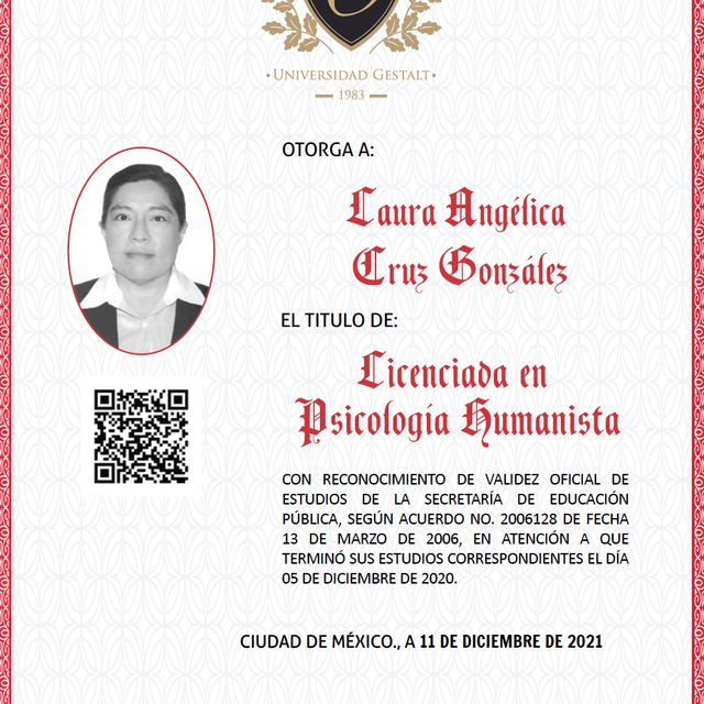 Ampliar imagen: certificate 1