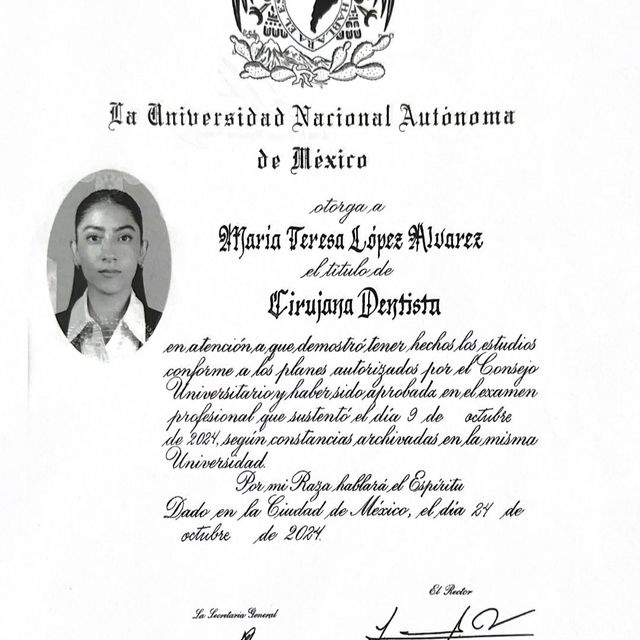 Ampliar imagen: certificate 1