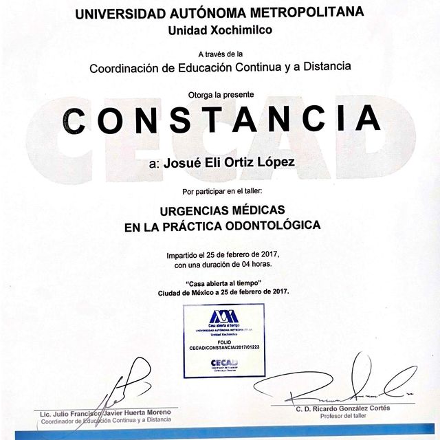 Ampliar imagen: certificate 37