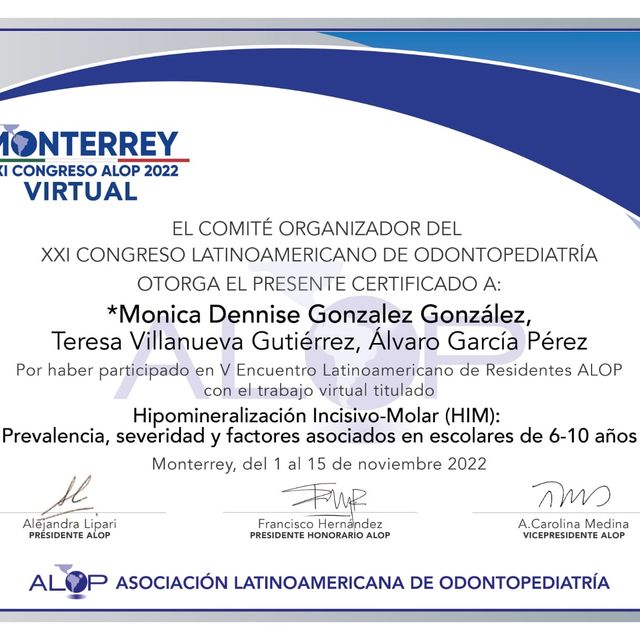 Ampliar imagen: certificate 2
