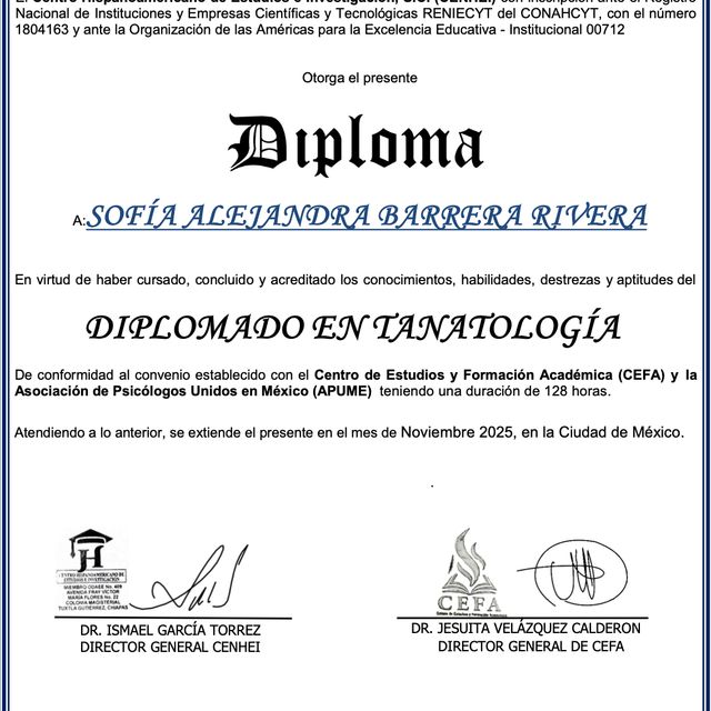 Ampliar imagen: certificate 5