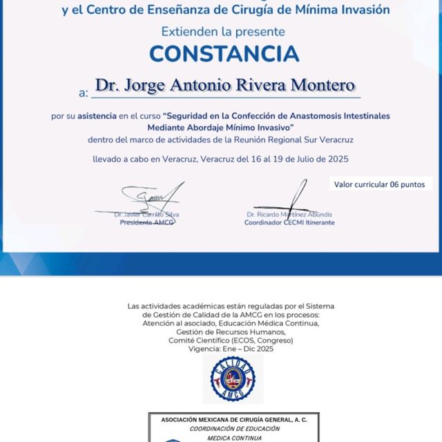 Ampliar imagen: certificate 11