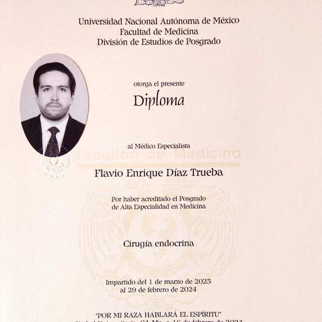 Ampliar imagen: certificate 2
