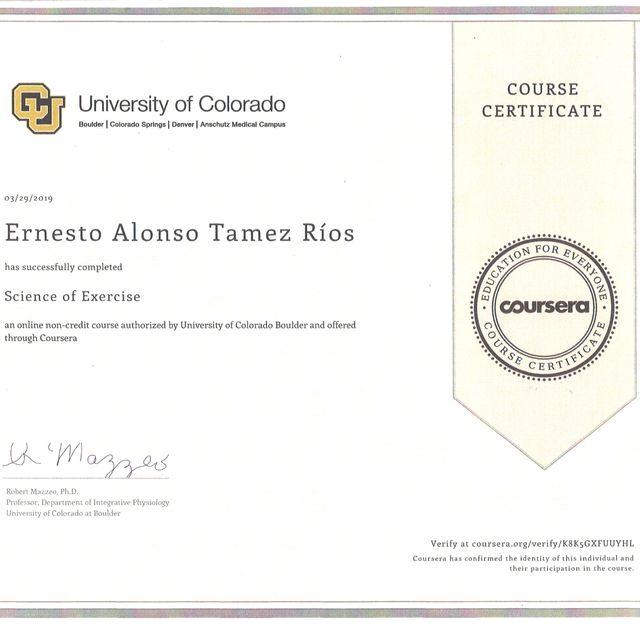 Ampliar imagen: certificate 8