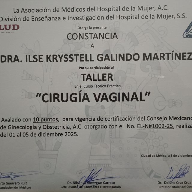 Ampliar imagen: certificate 3