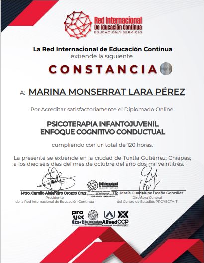 Ampliar imagen: certificate 3