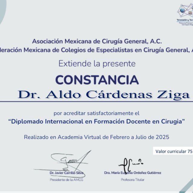 Ampliar imagen: certificate 2