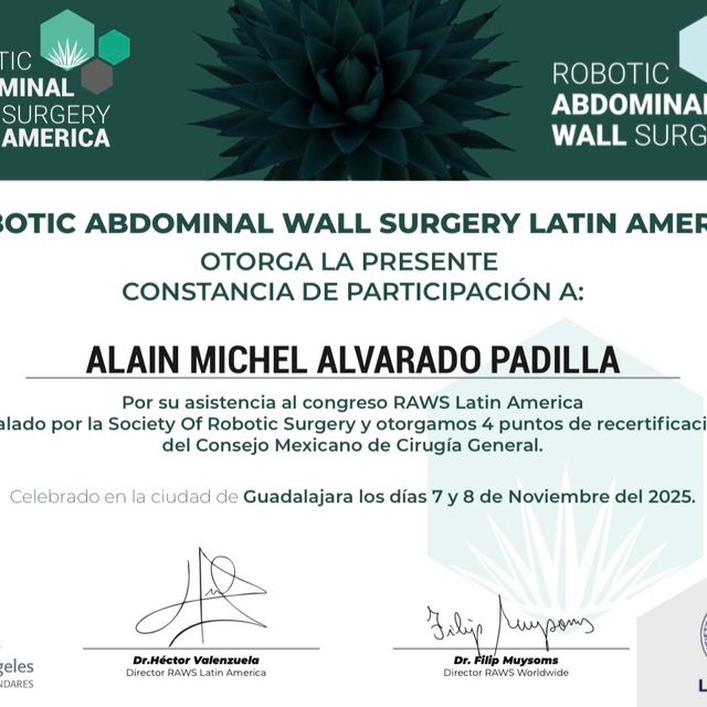 Ampliar imagen: certificate 7
