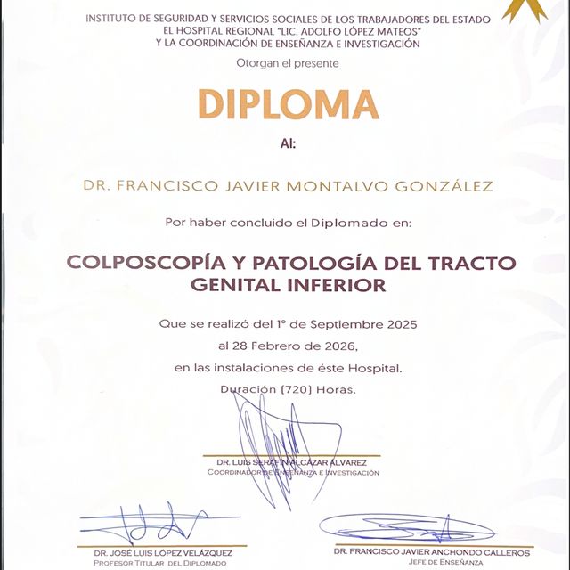 Ampliar imagen: certificate 5