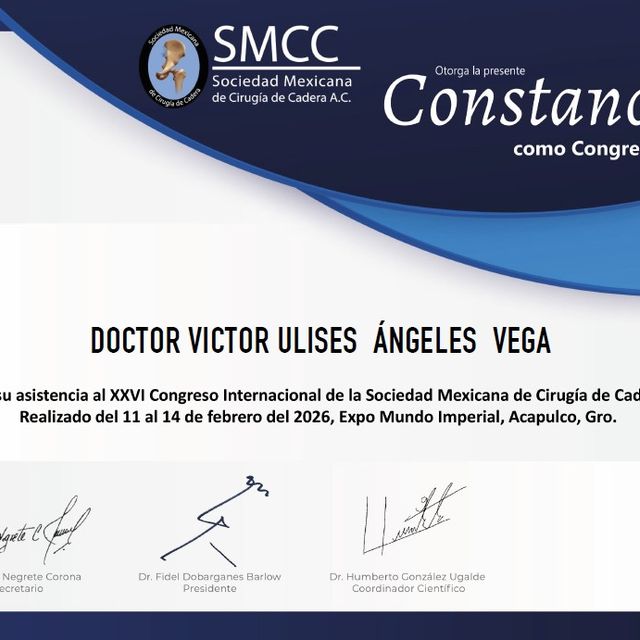 Ampliar imagen: certificate 2