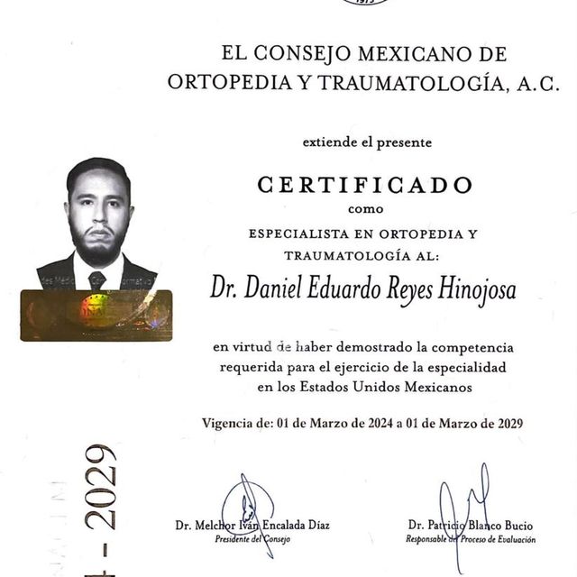 Ampliar imagen: certificate 2
