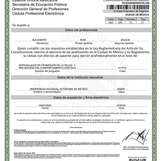 Ampliar imagen: certificate 1