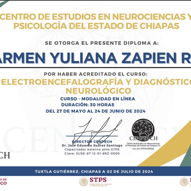 Ampliar imagen: certificate 4