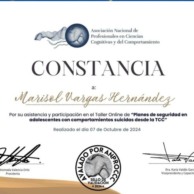 Ampliar imagen: certificate 5