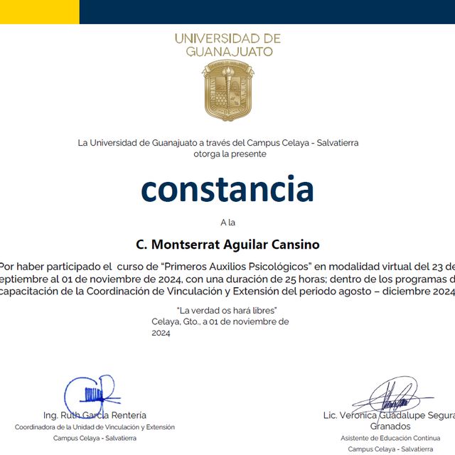 Ampliar imagen: certificate 3
