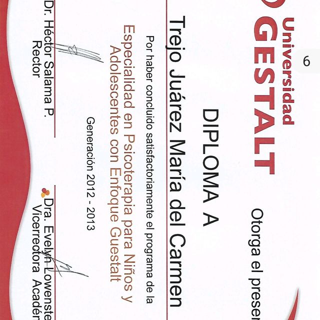 Ampliar imagen: certificate 4