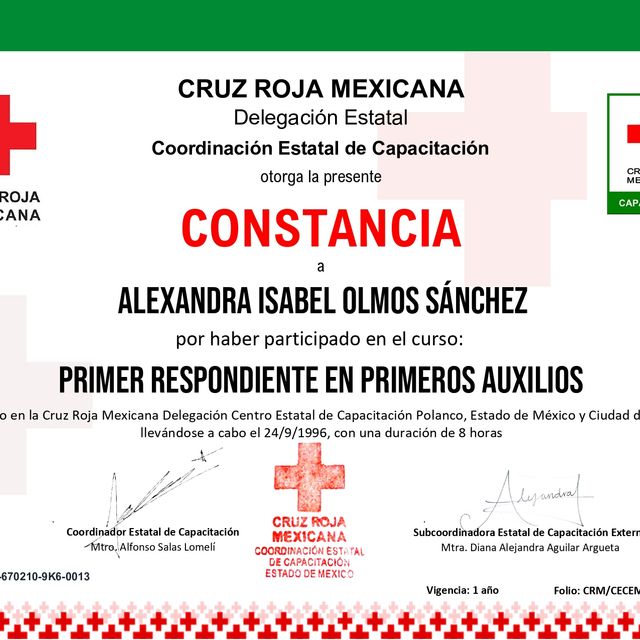 Ampliar imagen: certificate 5