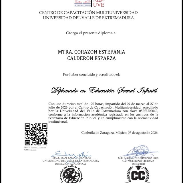 Ampliar imagen: certificate 11