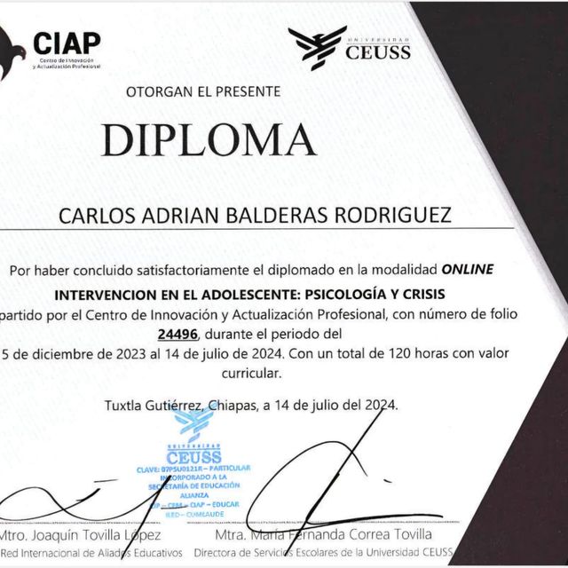 Ampliar imagen: certificate 2
