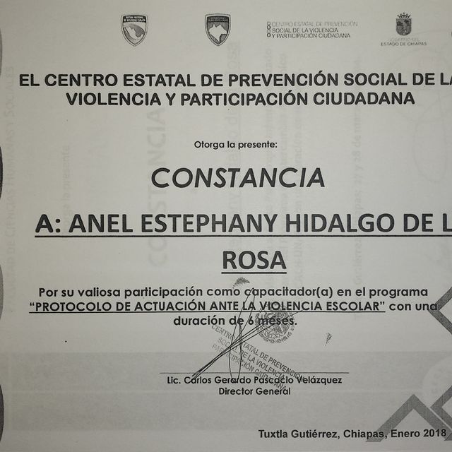 Ampliar imagen: certificate 13