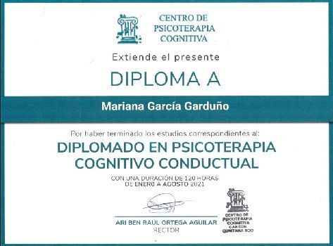 Ampliar imagen: certificate 3