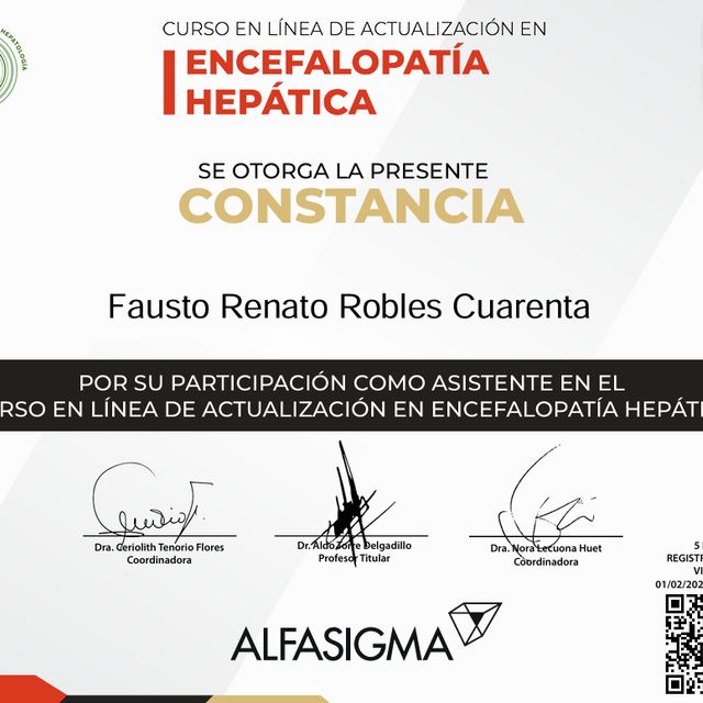 Ampliar imagen: certificate 33