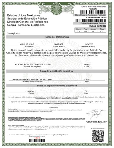 Ampliar imagen: certificate 4