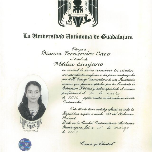 Ampliar imagen: certificate 3