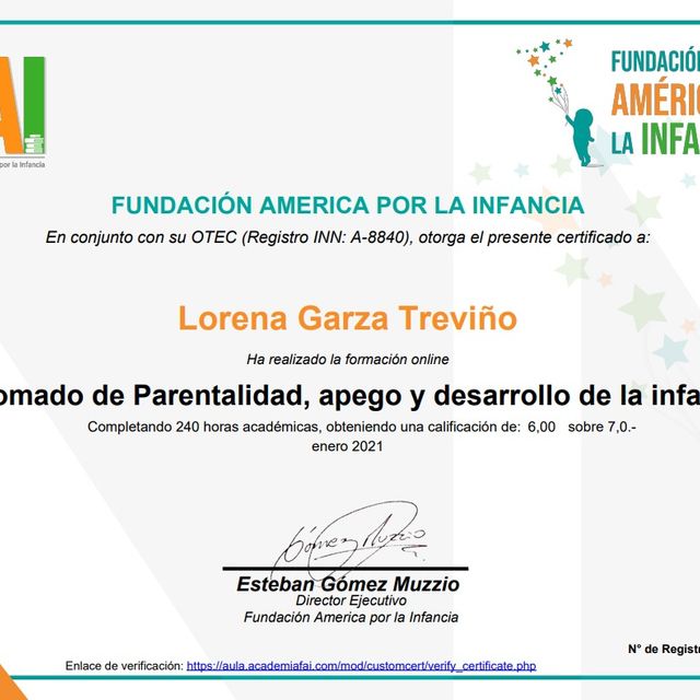 Ampliar imagen: certificate 2