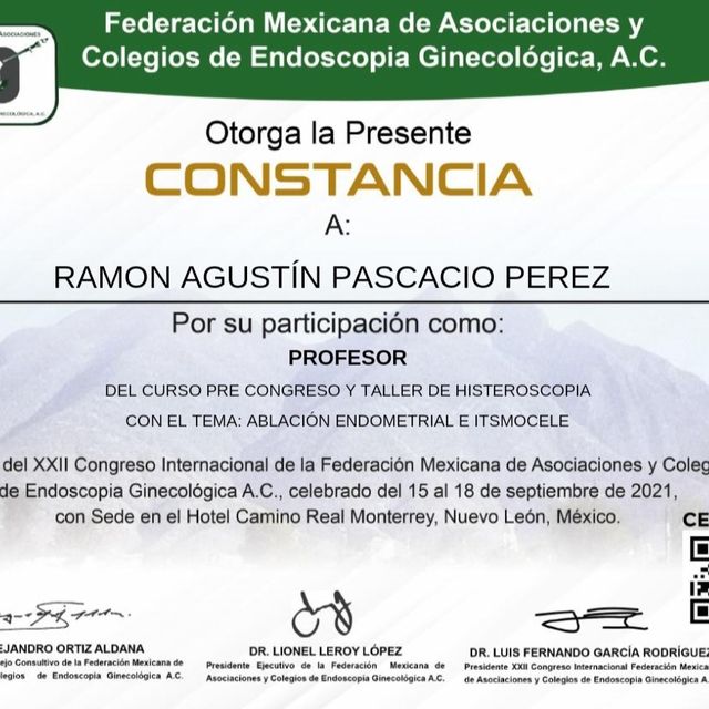 Ampliar imagen: certificate 21