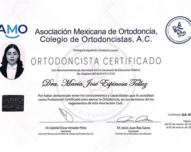 Ampliar imagen: certificate 3