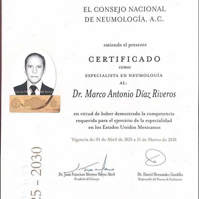 Ampliar imagen: certificate 5