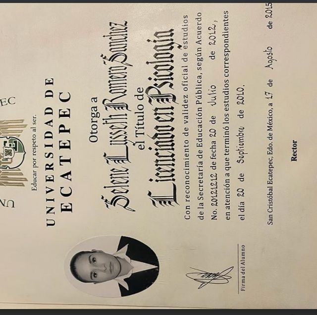 Ampliar imagen: certificate 4