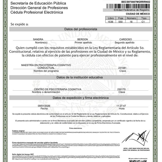 Ampliar imagen: certificate 3
