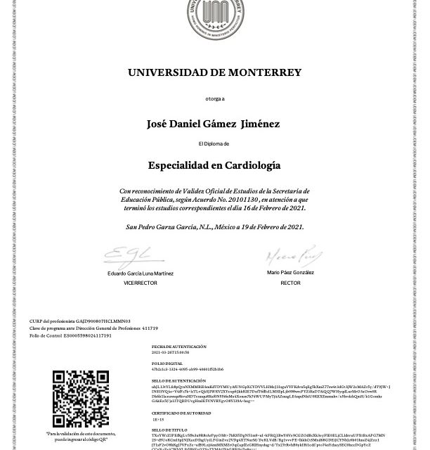 Ampliar imagen: certificate 1