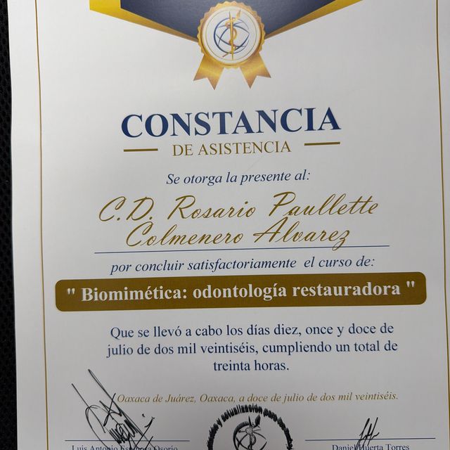 Ampliar imagen: certificate 3