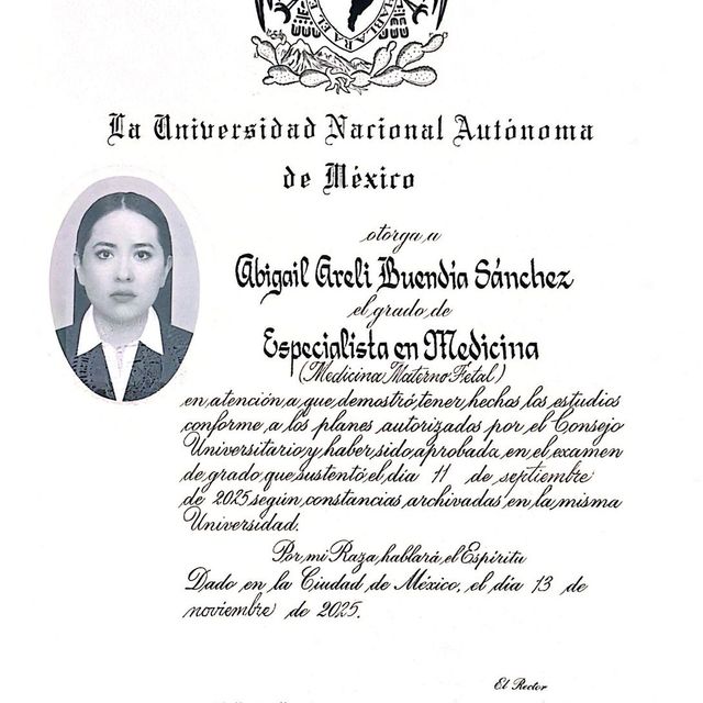 Ampliar imagen: certificate 2