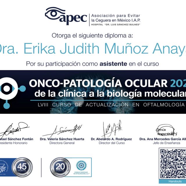 Ampliar imagen: certificate 6