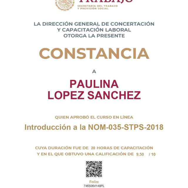 Ampliar imagen: certificate 8