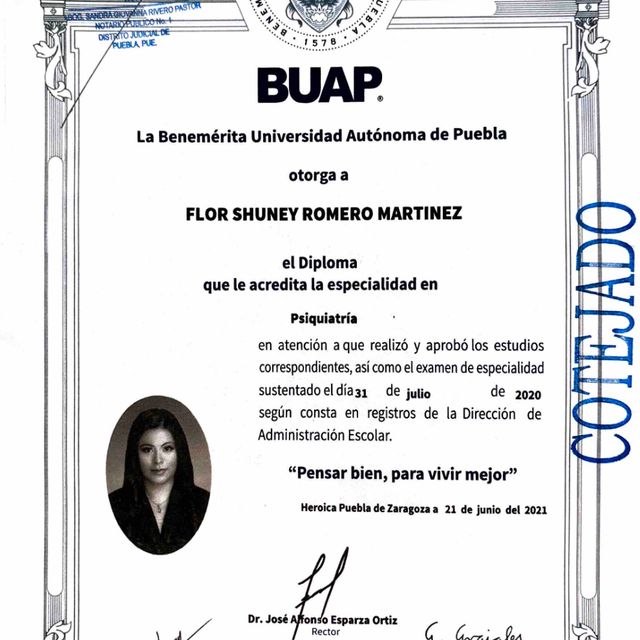 Ampliar imagen: certificate 5