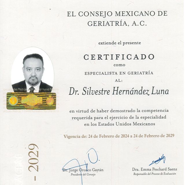 Ampliar imagen: certificate 3