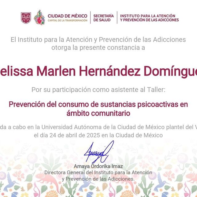 Ampliar imagen: certificate 4