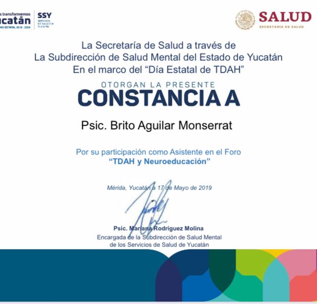 Ampliar imagen: certificate 6