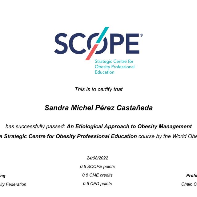 Ampliar imagen: certificate 28